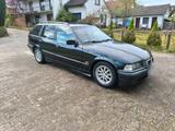 BMW E36 316i Touring Exclusive Edition, TÜ... - BMW 316 in Bremen