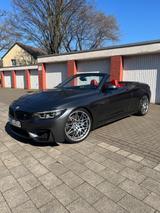BMW Bmw M4 Cabrio Competition Lci De-Fzg ohne Opf - BMW M4 in Duisburg
