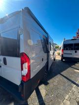 Roller Team LIV Duo Sport - Showroom Abverkauf - Roller Team Kastenwagen