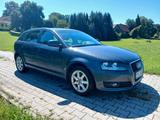 Audi A3 8P 1.2TFSI  4 Türer - Audi A3: Türer