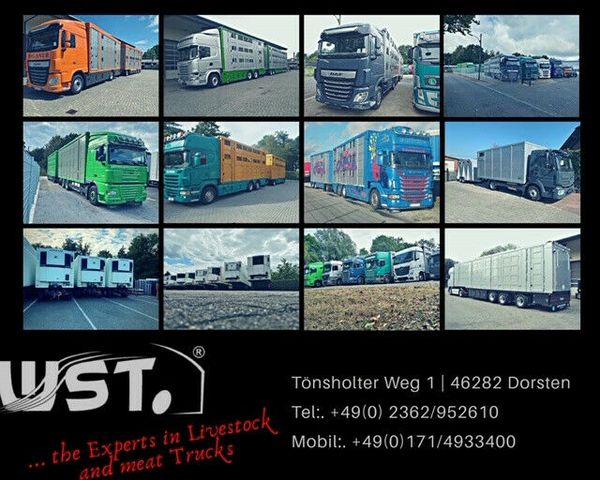 Ruthmann MB 315 Sprinter   TBR260 " Neu "