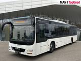 MAN LION'S CITY / A20 - MAN Lion