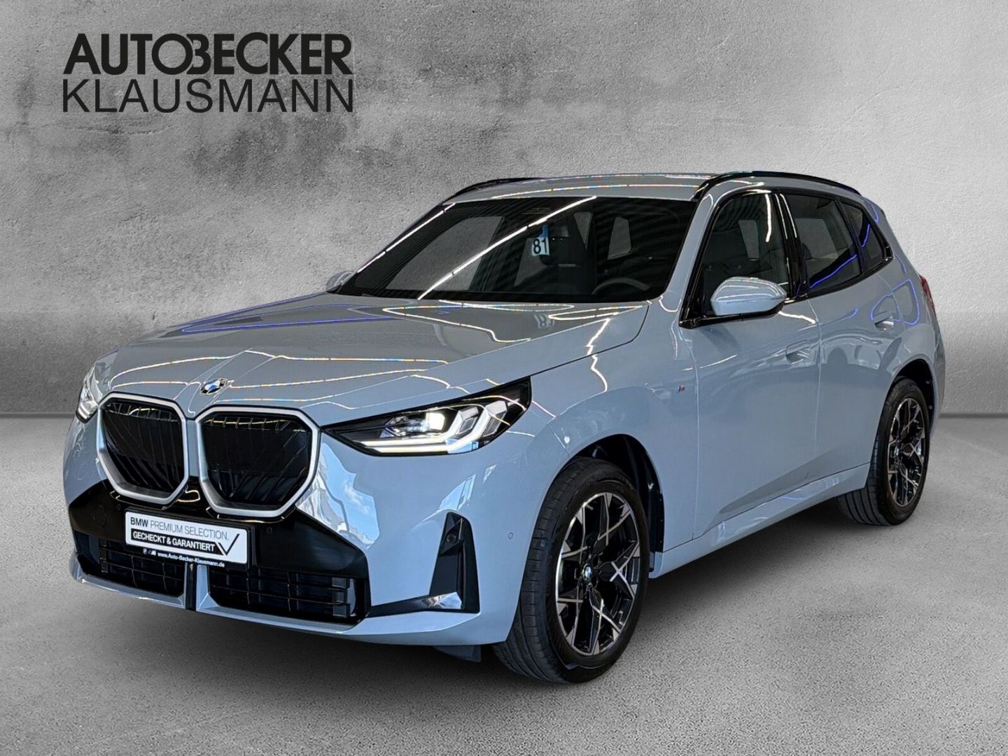 BMW X3 xDrive20d M SPORT 19'' NAVI ALARM AHK MEMORY foto 1