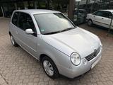 Volkswagen Lupo 1.0 Oxford - Volkswagen Lupo: Oxford