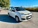 Fiat Panda 1.2 Easy 69cv ESEGUITI NUMEROSI LAVOR - Fiat Panda: La