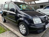 Fiat Panda 1.2 8V Dynamic (KLIMA~TÜV~85TKM) - Fiat Panda: Dynamic