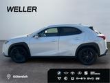 Lexus UX 250h Amazing Edition *Bi-LED*SHZ*CAM*CarPlay* - weiße Lexus UX