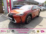 Lexus UX 250h 2.0 Klima Rückfahrkamera Sitzheizung - Lexus in München