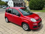 Fiat Panda MYSTYLE 91.000 Km Aus 1.Hand - Fiat Panda Gebrauchtwagen in Bochum