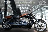 Harley-Davidson V-Rod Muscle *kostenl. Lieferung - HARLEY-DAVIDSON V ROD MUSCLE