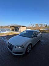 Audi A3 2.0 TFSI quattro S tronic Xenon Tempomat  - Audi A3 aus 2010: 2.0