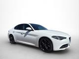 Alfa Romeo Giulia 2.0 Turbo 16V Super - Alfa Romeo Giulia mit Benzin-Antrieb