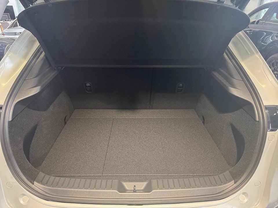 Fahrzeugabbildung Mazda CX-30 X 2.0i 186PS A/T AWD Exclusive