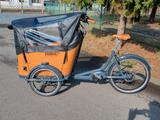 Babboe Go Mountain 500Wh inklusiv Regenverdeck - E-Lastenräder