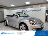 Volkswagen Beetle Cabriolet Design 1,4 DSG Leder Sperrdiff. - Volkswagen Beetle in Bonn