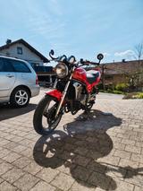 Kawasaki ER-5 / TÜV Neu / Service Neu - Offers
