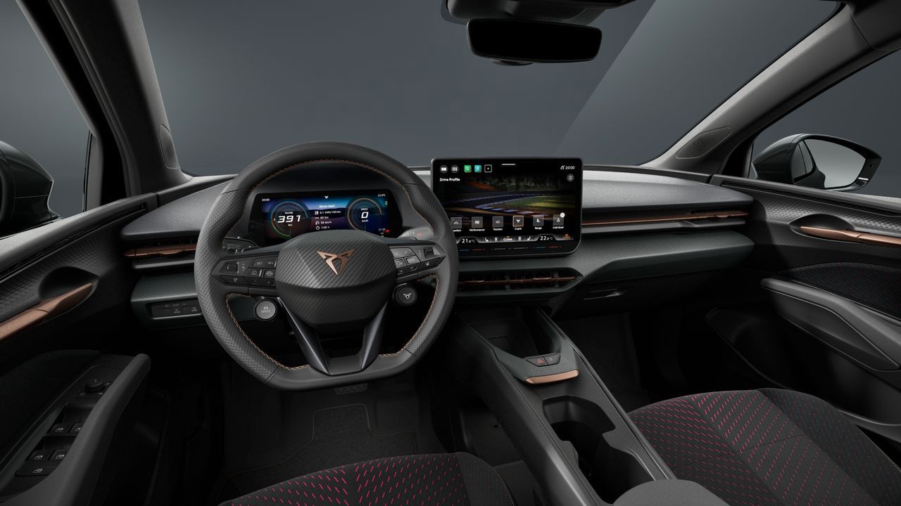 Cupra Andere - Bild 7