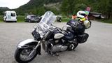 Suzuki Volusia VL 800 - SUZUKI VL 800 VOLUSIA