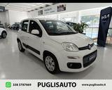 Fiat FIAT Panda 1.3 MJT 80 CV S&S Easy - Fiat Panda EASY mit Diesel-Antrieb