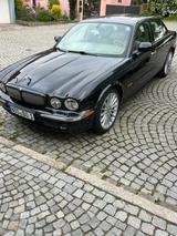 Jaguar XJR XJR - Jaguar XJR mit Schiebedach