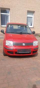 Fiat Panda - Fiat Panda Gebrauchtwagen in Bielefeld