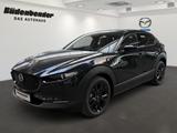 Mazda CX-30 2.0L e-SKYACTIV X 186ps AWD Nagisa - Mazda CX-30 Nagisa mit Hybrid-Antrieb (Benzin/Elektro)