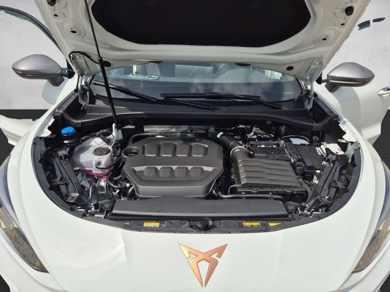 Fahrzeugabbildung CUPRA Terramar 2.0 TSI 204 PS DSG 4Drive Edge Paket