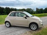 Fiat 500 Cabriolet 1.2 8V Lounge  - Fiat 500: Beige