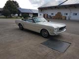 Ford Mustang 1965 Oldtimer (Cabrio) - Ford Mustang Oldtimer: Roadster