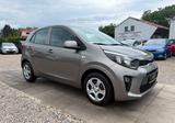 Kia Picanto Edition 7 Sportsitze Sport Lenkrad - Kia Picanto mit Benzin-Antrieb: Limousine