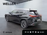 Lexus UX 250h Style Edition *Bi-LED*ACC*CAM*SHZ*CarPla - Lexus Gebrauchtwagen in Dortmund