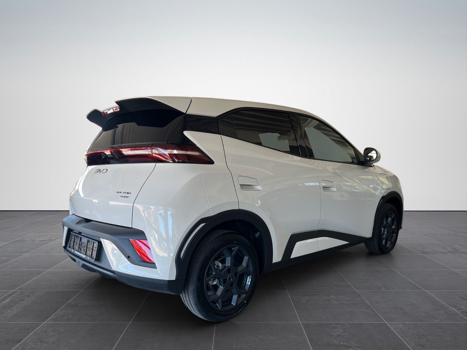 BYD DOLPHIN SURF