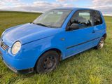 Volkswagen Lupo 6X Bj99 1,0 50ps - Volkswagen Lupo: 1.6