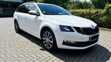 Skoda Verkaufen Skoda Oktavia 2,0 TDI/DSG 2019 B... - Skoda Octavia: 20v