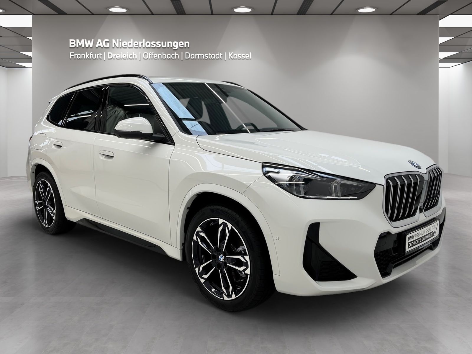BMW X1 xDrive30e M Sport AHK Driv.Assist.Prof LED foto 3