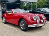 Jaguar XK140 DHC RHD I 5GANG OVERDRIVE I TOP-ZUSTAND - Jaguar aus 1955