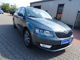 Skoda Octavia Lim. Edition - Skoda Octavia Gebrauchtwagen in Hamm