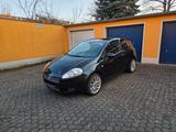 Fiat Punto 1.4 8V Dynamic  - Fiat Punto aus 2009: 1.4