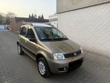 Fiat Panda 1.2 8V Climbing 4X4 TÜV NEU*1.HAND* TOP - Fiat Panda mit Panoramadach