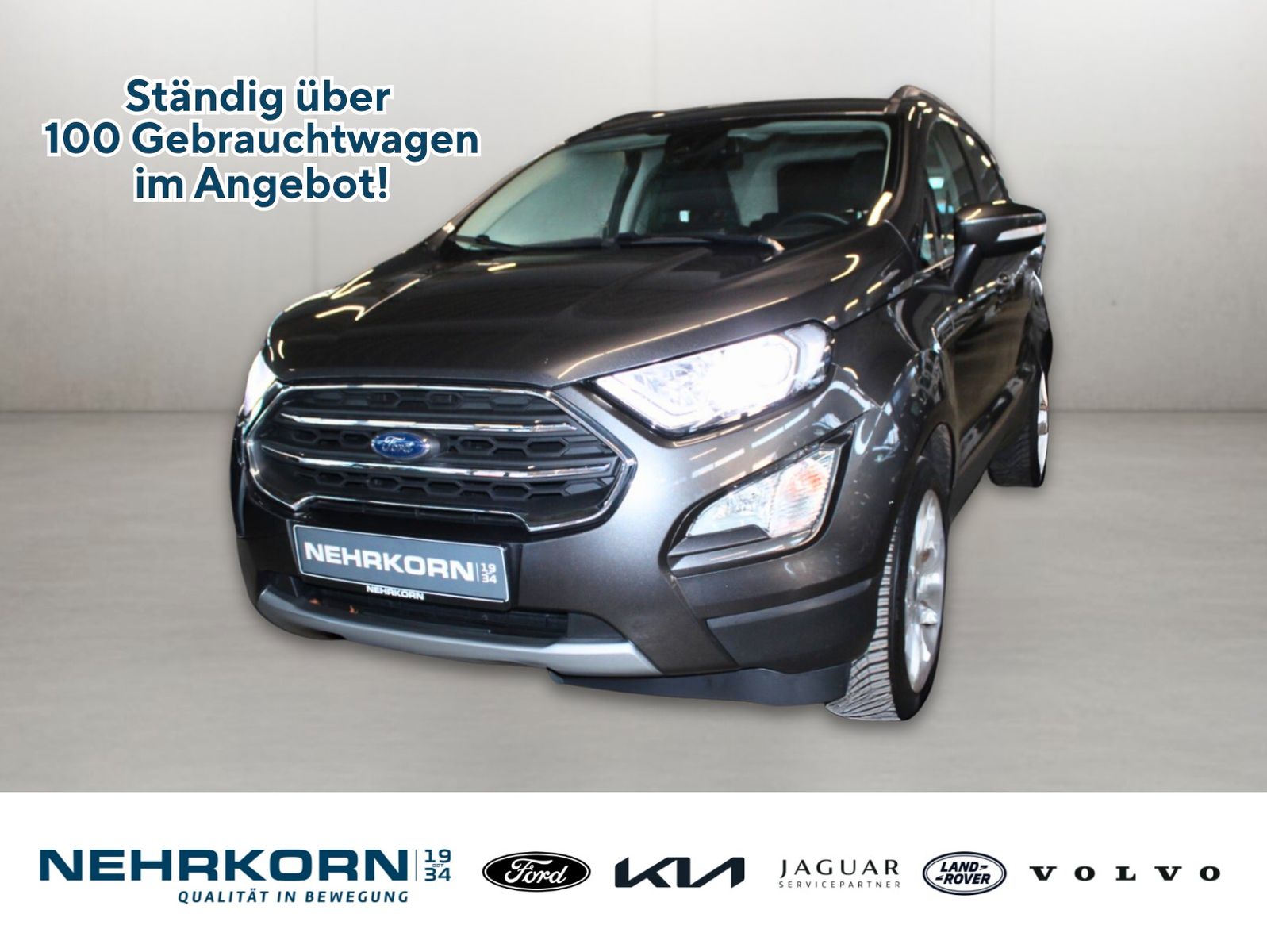 Fahrzeugabbildung Ford EcoSport Titanium LED B&O NAVI DAB Teilleder