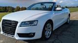 Audi A5 Cabriolet 2.0 TFSI Automatik - Audi A5 aus 2009: Cabrio