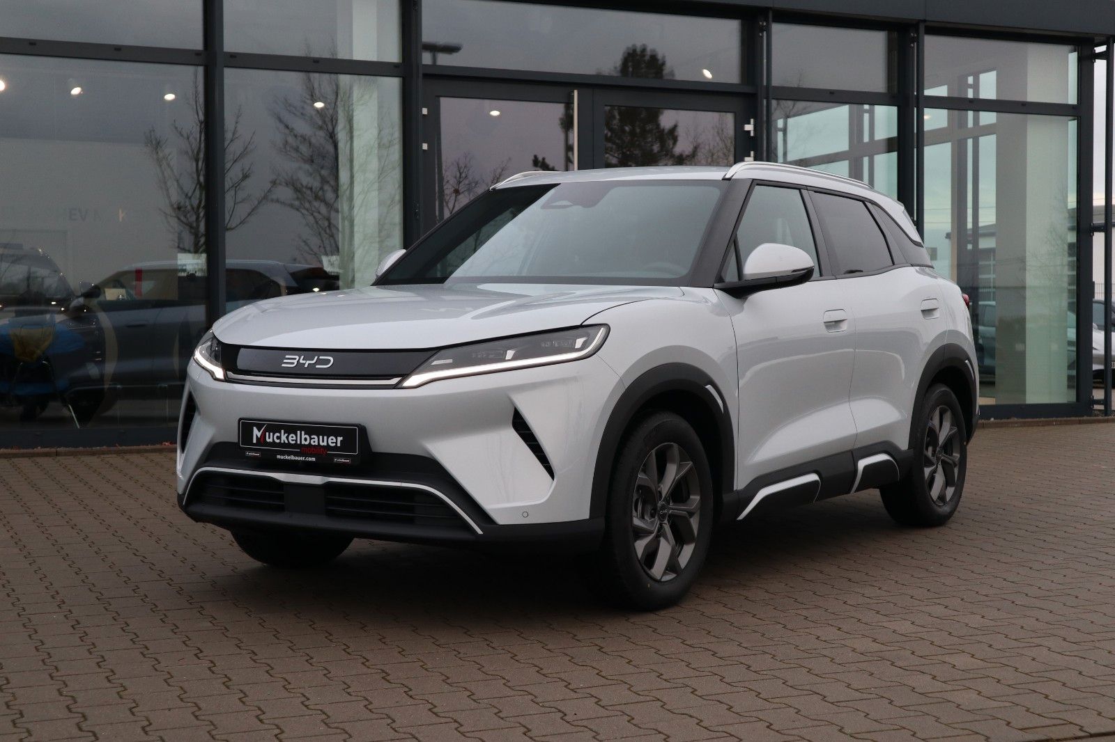 BYD ATTO 2