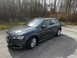 Audi A3 Sportback e-tron Design | Matrix LED | V - Audi A3 mit Hybrid-Antrieb: Design