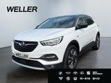 Opel Grandland X 1.2 Opel 2020 *AHK*hzb Fronts*CAM*SH - Opel Grandland (X) in Dortmund