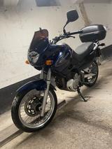 Suzuki XF 650 Freewind - SUZUKI FREEWIND