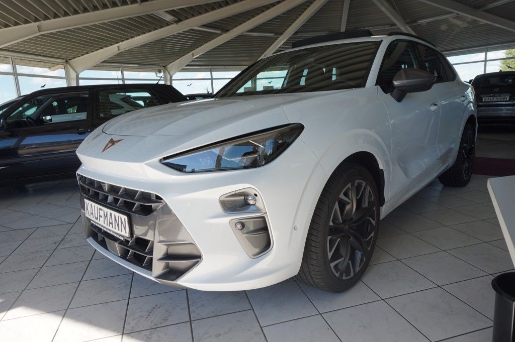 Cupra Terramar — fotografia 3