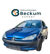 Peugeot 206 Petit Filou 60 - Peugeot 206: F