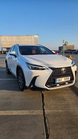 Lexus NX 350h Business Edition  - Lexus aus 2023