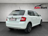 Skoda Fabia 1,2 TSI 90 PS Edition°LED°SHZ°Tempomat°DAB - Skoda Fabia Edition mit Benzin-Antrieb