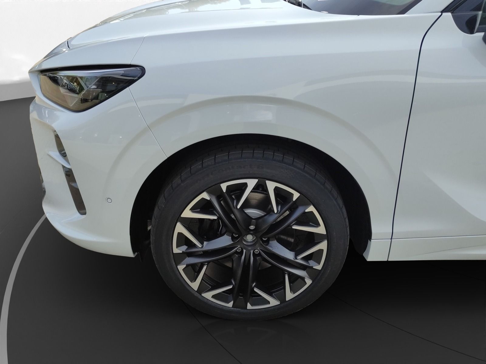 Cupra Terramar - Bild 7